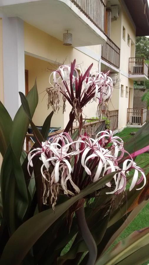 Pousada Do Tie Ubatuba Dış mekan fotoğraf